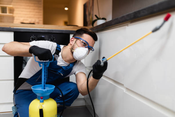 Best Pest Control Near Me  in Odenton, MD